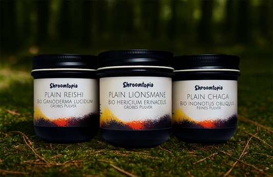 3x Plains: Chaga, Reishi & Igel-Stachelbart