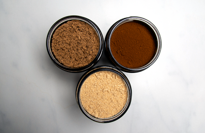 3x Plains: Chaga, Reishi & Igel-Stachelbart