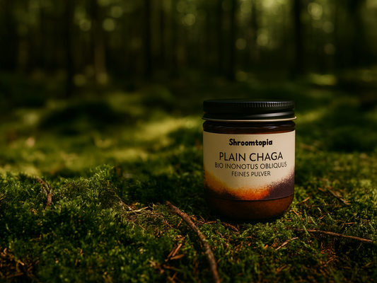 Chaga (Pulver - BIO)