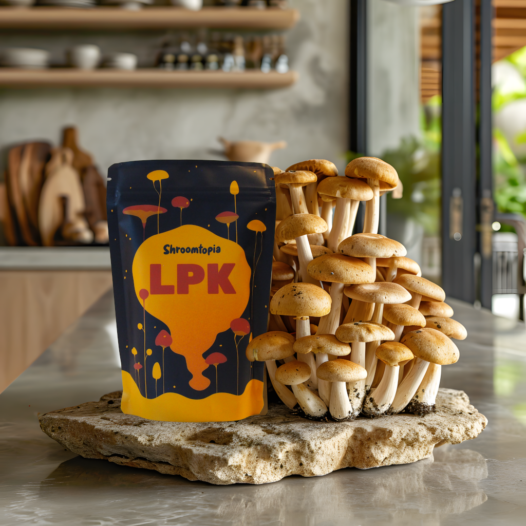 Vitalpilz Lupinen Pilz Kaffee - Close Up mit Pilzen