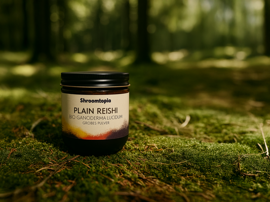 Reishi (grobes  Pulver - BIO)