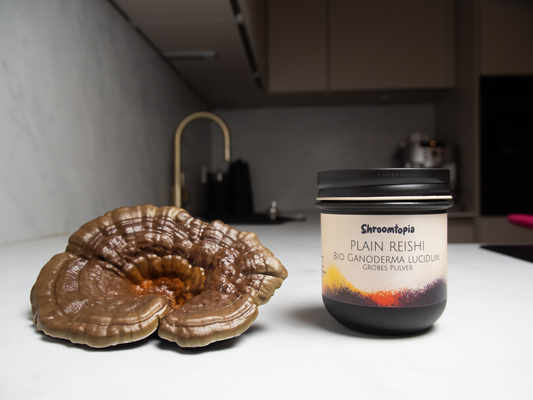Reishi (grobes  Pulver - BIO)